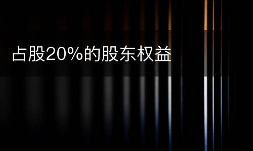 占股20%的股东权益