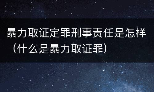暴力取证定罪刑事责任是怎样（什么是暴力取证罪）
