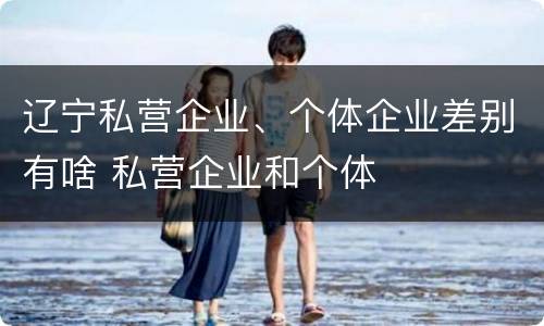 辽宁私营企业、个体企业差别有啥 私营企业和个体