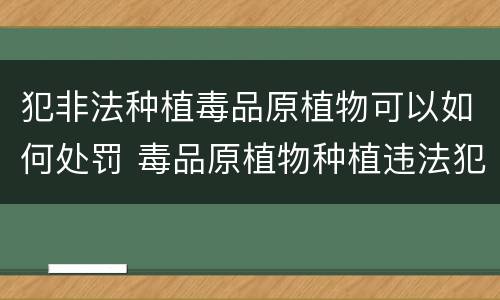 犯非法种植毒品原植物可以如何处罚 毒品原植物种植违法犯罪行为