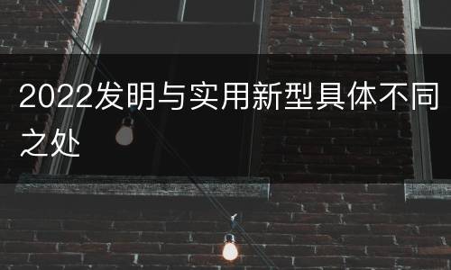 2022发明与实用新型具体不同之处
