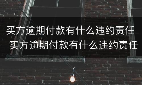 买方逾期付款有什么违约责任 买方逾期付款有什么违约责任吗