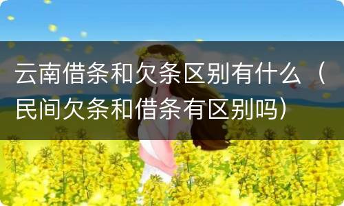 云南借条和欠条区别有什么（民间欠条和借条有区别吗）