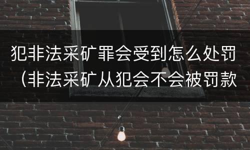 犯非法采矿罪会受到怎么处罚（非法采矿从犯会不会被罚款）