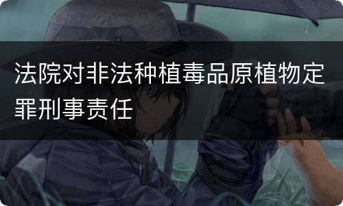 法院对非法种植毒品原植物定罪刑事责任