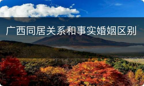 广西同居关系和事实婚姻区别