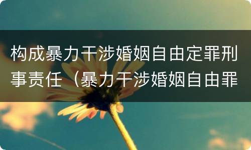 构成暴力干涉婚姻自由定罪刑事责任（暴力干涉婚姻自由罪构成要件）