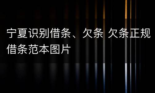 宁夏识别借条、欠条 欠条正规借条范本图片
