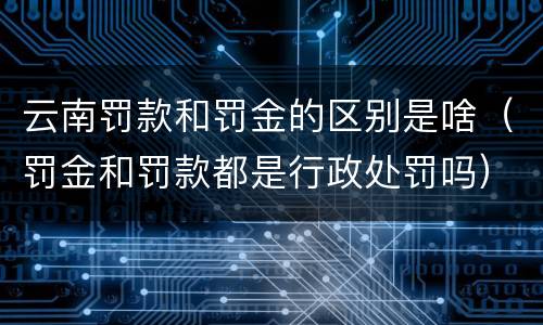 云南罚款和罚金的区别是啥（罚金和罚款都是行政处罚吗）