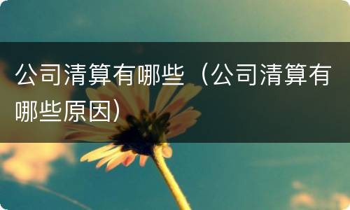 公司清算有哪些（公司清算有哪些原因）