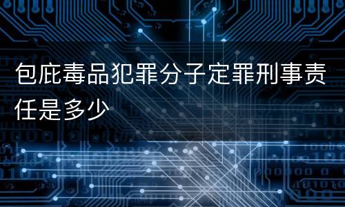包庇毒品犯罪分子定罪刑事责任是多少