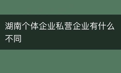 湖南个体企业私营企业有什么不同