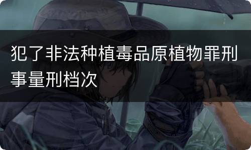 犯了非法种植毒品原植物罪刑事量刑档次