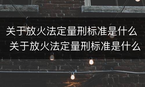 关于放火法定量刑标准是什么 关于放火法定量刑标准是什么意思