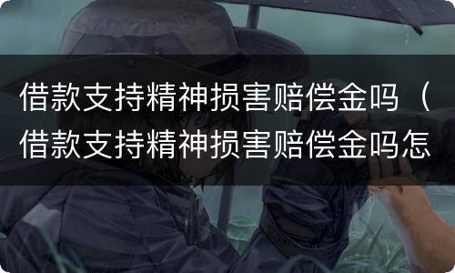 借款支持精神损害赔偿金吗（借款支持精神损害赔偿金吗怎么算）
