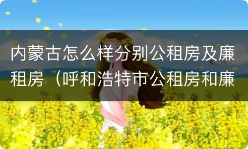 内蒙古怎么样分别公租房及廉租房（呼和浩特市公租房和廉租房的区别）