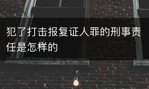 犯了打击报复证人罪的刑事责任是怎样的