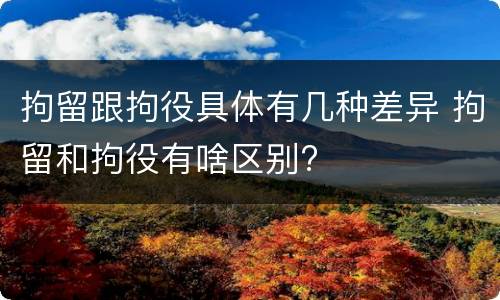 拘留跟拘役具体有几种差异 拘留和拘役有啥区别?