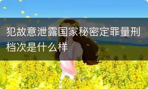 犯故意泄露国家秘密定罪量刑档次是什么样