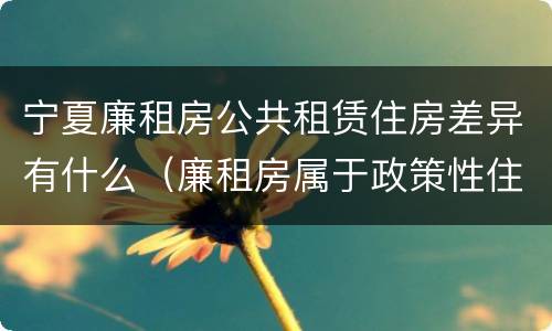 宁夏廉租房公共租赁住房差异有什么（廉租房属于政策性住房吗）
