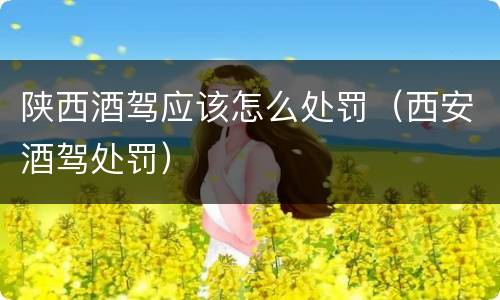 陕西酒驾应该怎么处罚（西安酒驾处罚）