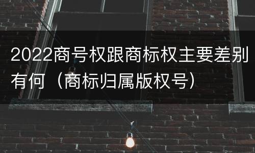 2022商号权跟商标权主要差别有何（商标归属版权号）