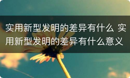 实用新型发明的差异有什么 实用新型发明的差异有什么意义