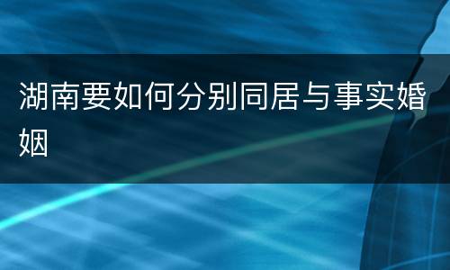湖南要如何分别同居与事实婚姻