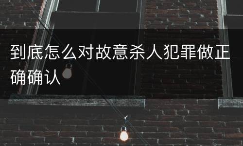 到底怎么对故意杀人犯罪做正确确认