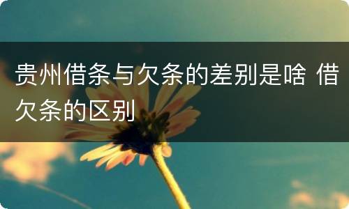 贵州借条与欠条的差别是啥 借欠条的区别