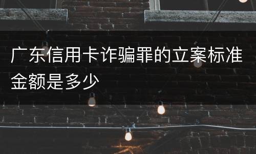 广东信用卡诈骗罪的立案标准金额是多少