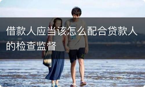 借款人应当该怎么配合贷款人的检查监督