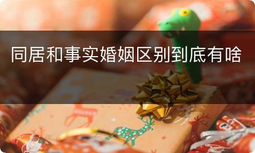 同居和事实婚姻区别到底有啥