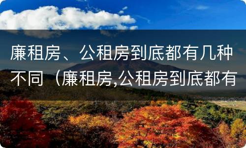 廉租房、公租房到底都有几种不同（廉租房,公租房到底都有几种不同的）