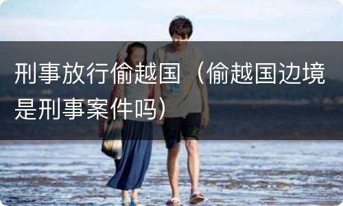 刑事放行偷越国（偷越国边境是刑事案件吗）