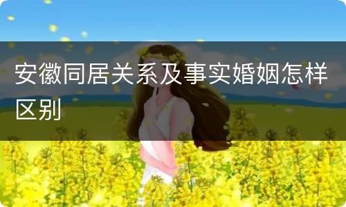 安徽同居关系及事实婚姻怎样区别