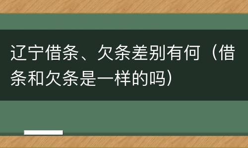 辽宁借条、欠条差别有何（借条和欠条是一样的吗）
