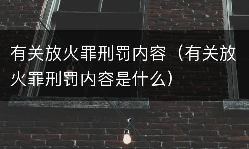 有关放火罪刑罚内容（有关放火罪刑罚内容是什么）