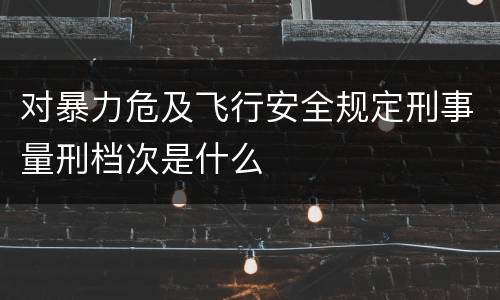 对暴力危及飞行安全规定刑事量刑档次是什么