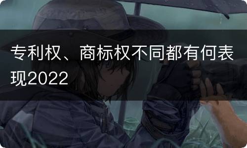专利权、商标权不同都有何表现2022