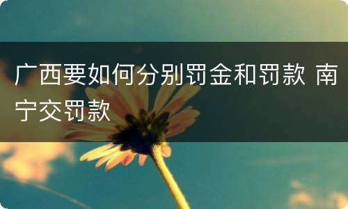 广西要如何分别罚金和罚款 南宁交罚款