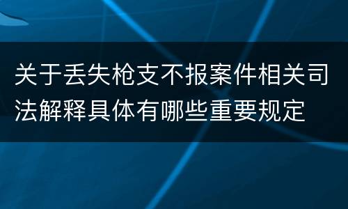 关于丢失枪支不报案件相关司法解释具体有哪些重要规定