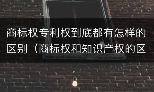 商标权专利权到底都有怎样的区别（商标权和知识产权的区别）