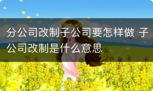 分公司改制子公司要怎样做 子公司改制是什么意思