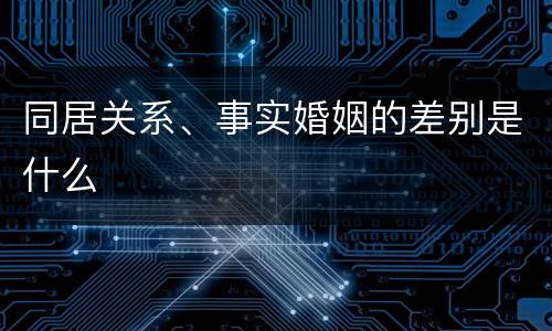 同居关系、事实婚姻的差别是什么