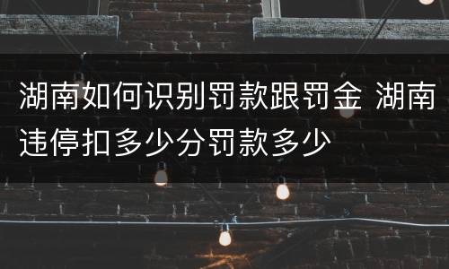 湖南如何识别罚款跟罚金 湖南违停扣多少分罚款多少
