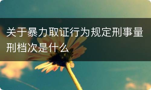 关于暴力取证行为规定刑事量刑档次是什么