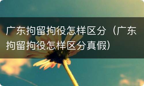 广东拘留拘役怎样区分（广东拘留拘役怎样区分真假）
