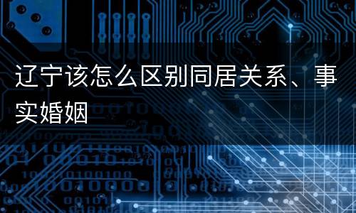 辽宁该怎么区别同居关系、事实婚姻