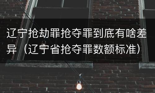 辽宁抢劫罪抢夺罪到底有啥差异（辽宁省抢夺罪数额标准）